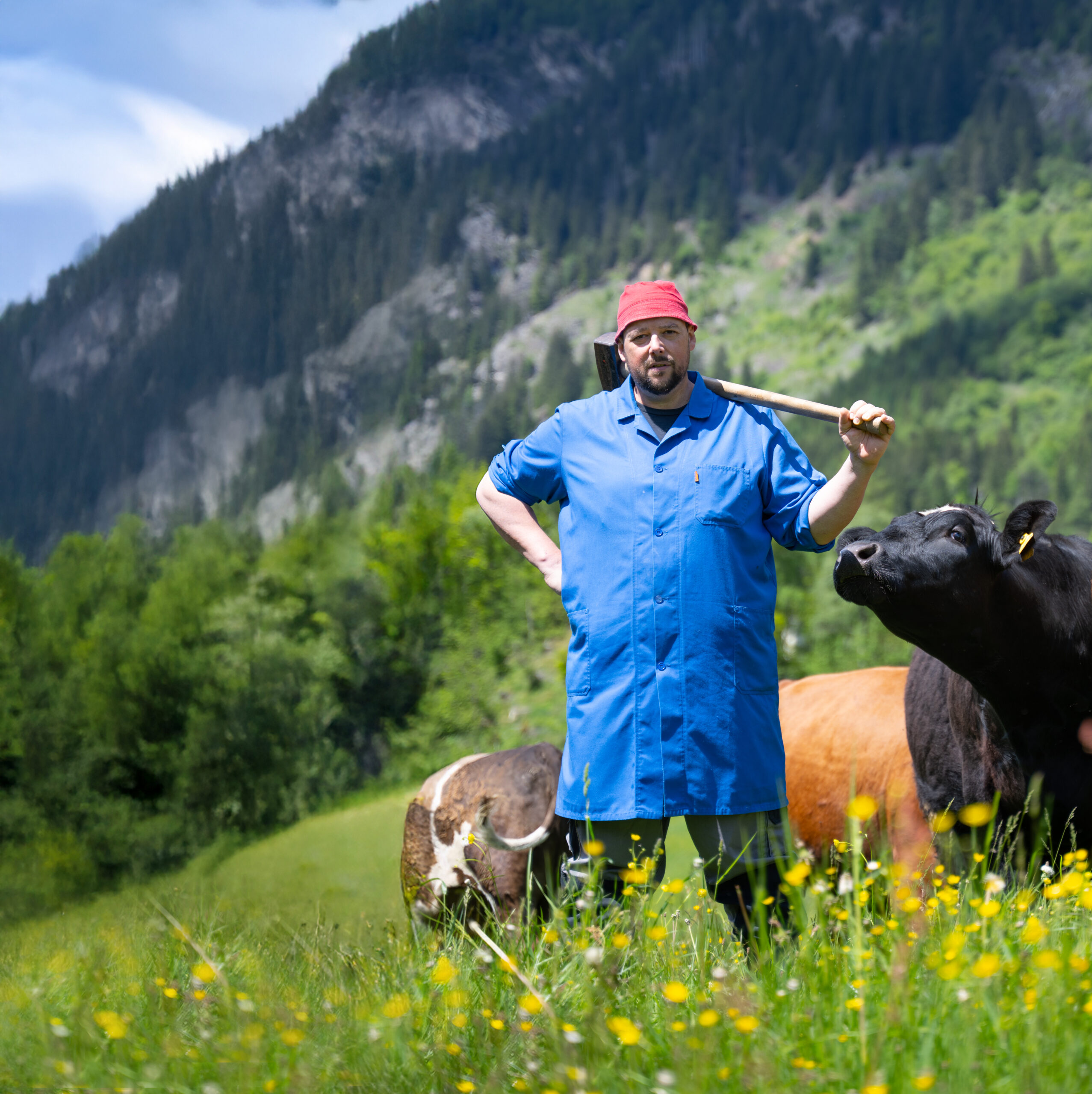 Petutschnig Hons - Hons im Glück - Coverbild
